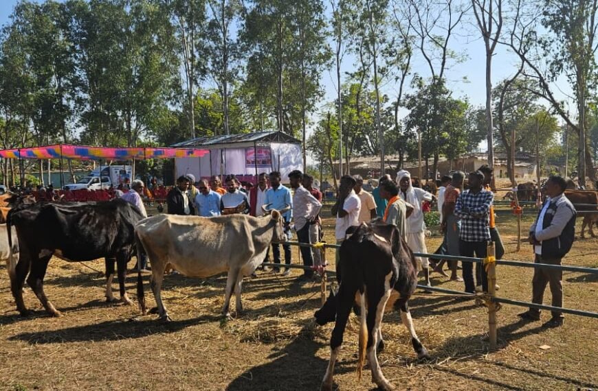 हिराडबरी में आयोजित पशु मेले में विभिन्न प्रजातियों के पशु बने आकर्षण का केन्द्र।