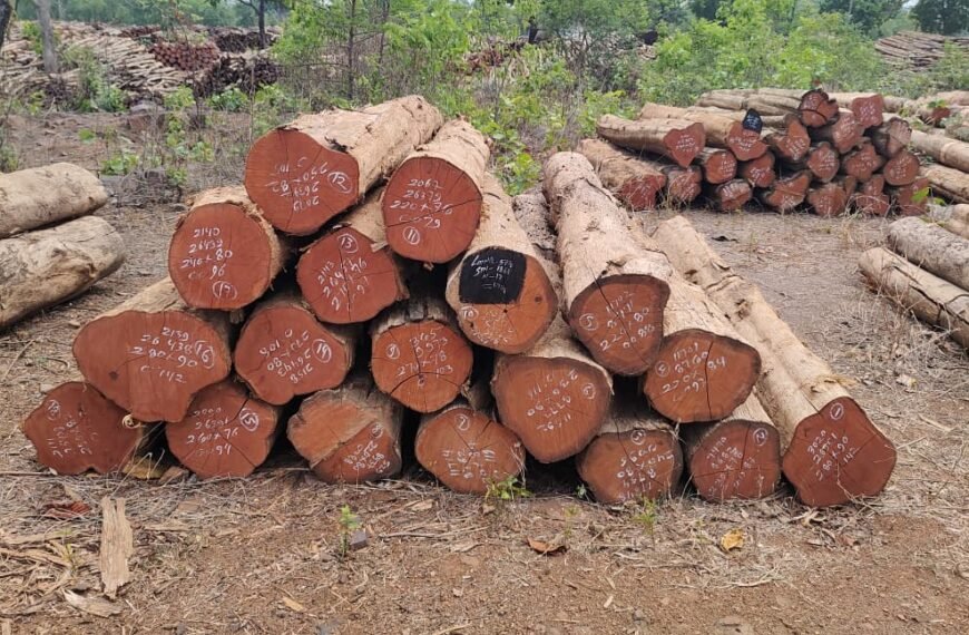 ई-नीलाम: पारदर्शिता और राजस्व वृद्धि की दिशा में एक सकारात्मक पहल।