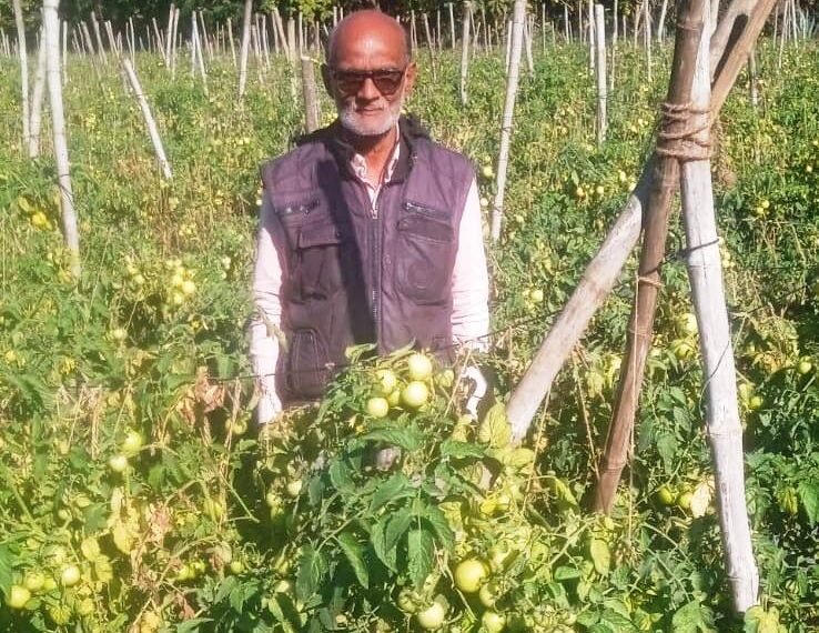 तकनीक सहयोग और मेहनत से बदली खेती की तस्वीर