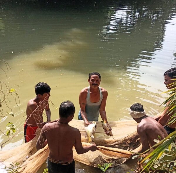 डबरी निर्माण से ग्रामीण आजीविका और जल संरक्षण को मिलेगा नया आधार