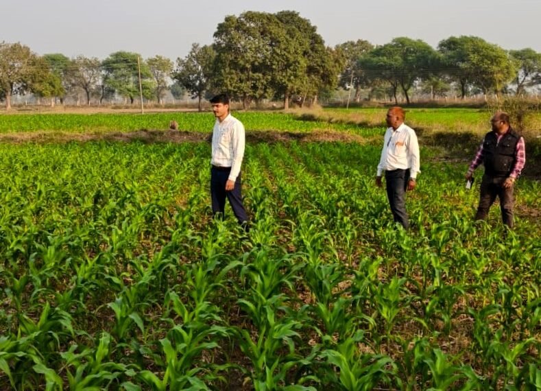 पचास साल बाद बदली खेती की तस्वीर