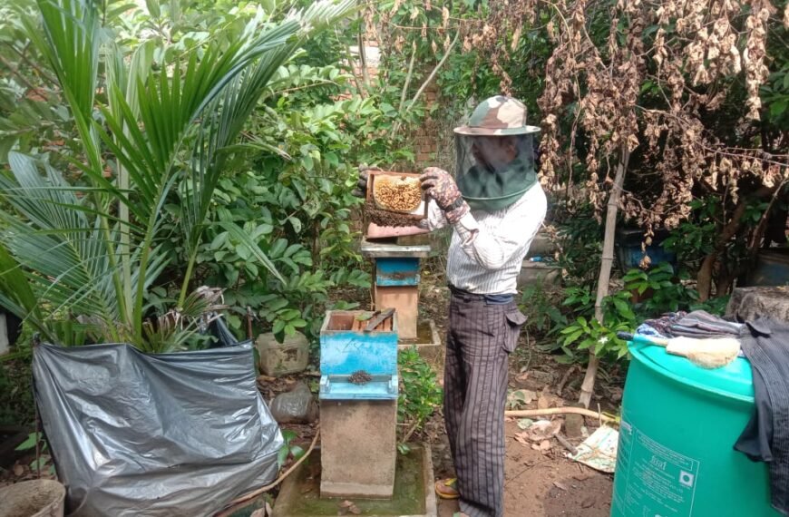मधुमक्खी पालन बनीं रोज़गार की कुंजी :अतिरिक्त आय का सशक्त माध्यम बना मधुमक्खी पालन