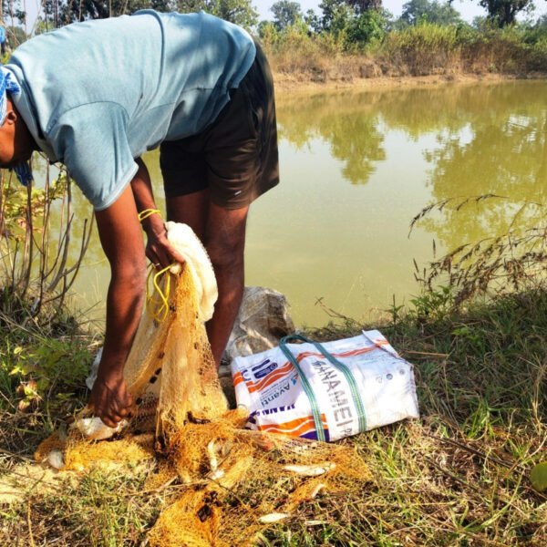 आजीविका डबरी : छोटे किसानों की आत्मनिर्भरता की नई राह