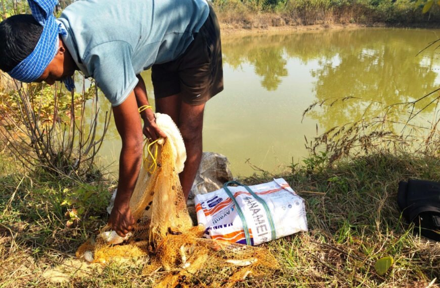 आजीविका डबरी : छोटे किसानों की आत्मनिर्भरता की नई राह
