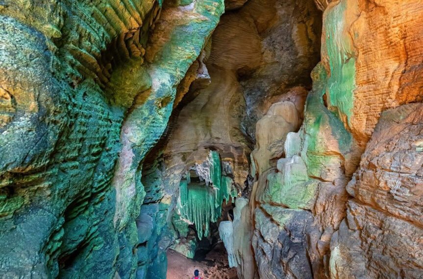 कांगेर घाटी में मिली अनोखी ‘ग्रीन गुफा’,जल्द खुलेंगे पर्यटन के नए द्वार