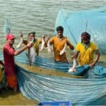 प्रधानमंत्री मत्स्य सम्पदा योजना से जिले में आई मत्स्य क्रांति