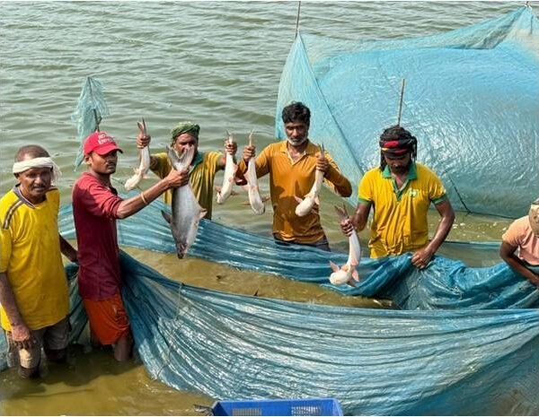 प्रधानमंत्री मत्स्य सम्पदा योजना से जिले में आई मत्स्य क्रांति
