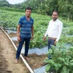 राष्ट्रीय कृषि विकास योजना से बदली किसान की किस्मत