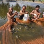 बॉयोफ्लॉक तकनीक से मछली पालन से आत्मनिर्भरता की ओर