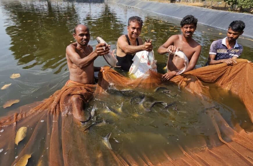बॉयोफ्लॉक तकनीक से मछली पालन से आत्मनिर्भरता की ओर