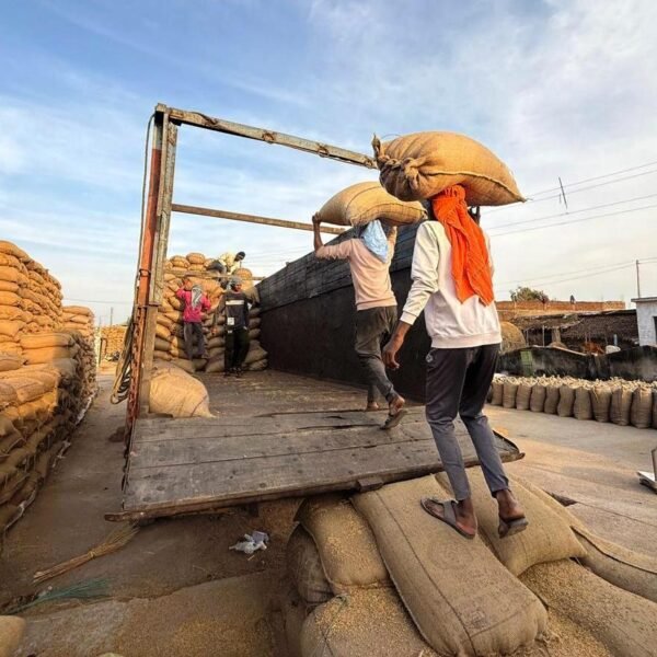 समितियों में खरीदी लिमिट बढ़ी,किसानों को त्वरित भुगतान