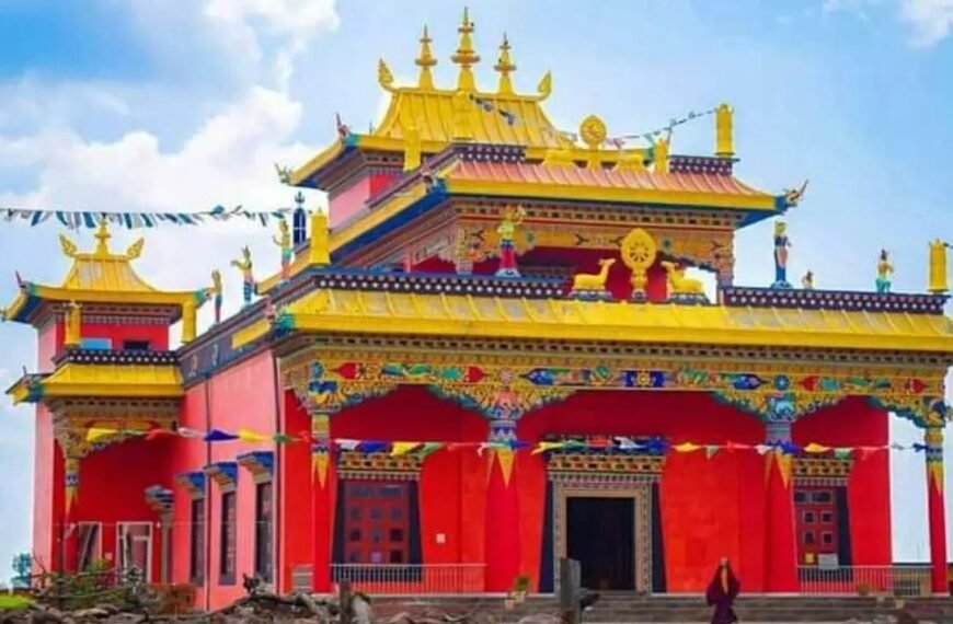 छत्तीसगढ़ का शिमला मैनपाट को पर्यटन के क्षेत्र में मिलेगा नया आयाम