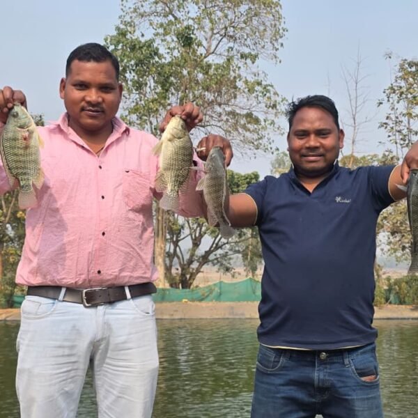 बायोफ्लॉक तकनीक से समृद्ध हो रहे किसान कैलाश पैकरा