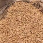 खरीफ विपणन वर्ष 2025-26 : 23.48 लाख किसानों से धान खरीदी, ₹29,597 करोड़ का भुगतान