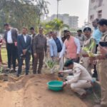 हाइड्रोपोनिक्स से टेरेस गार्डन को मिल रही नई दिशा