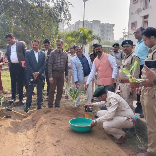हाइड्रोपोनिक्स से टेरेस गार्डन को मिल रही नई दिशा