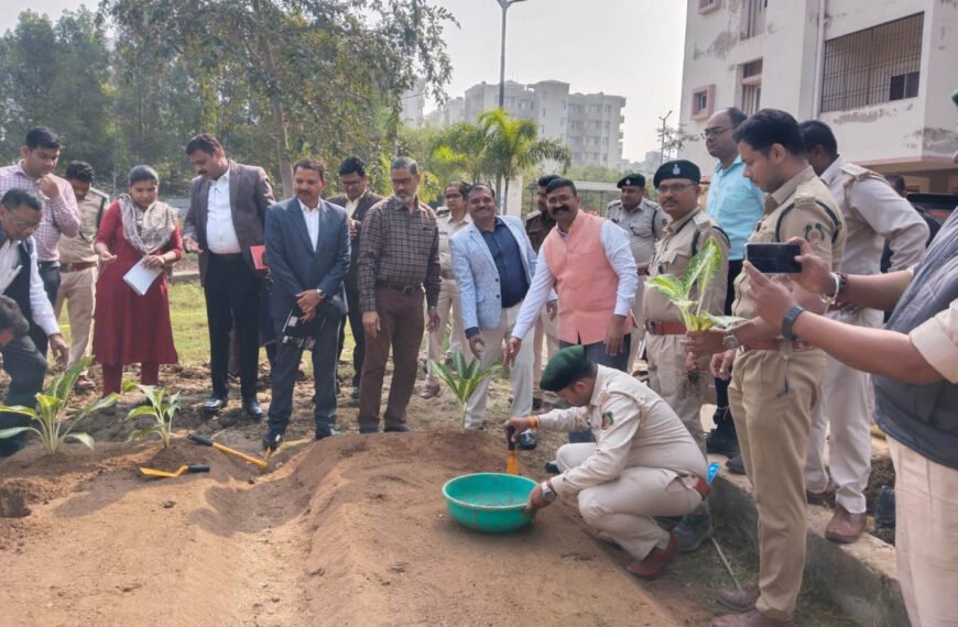 हाइड्रोपोनिक्स से टेरेस गार्डन को मिल रही नई दिशा