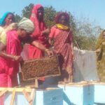 मधुमक्खी पालन से स्व-सहायता समूह की आय में वृद्धि