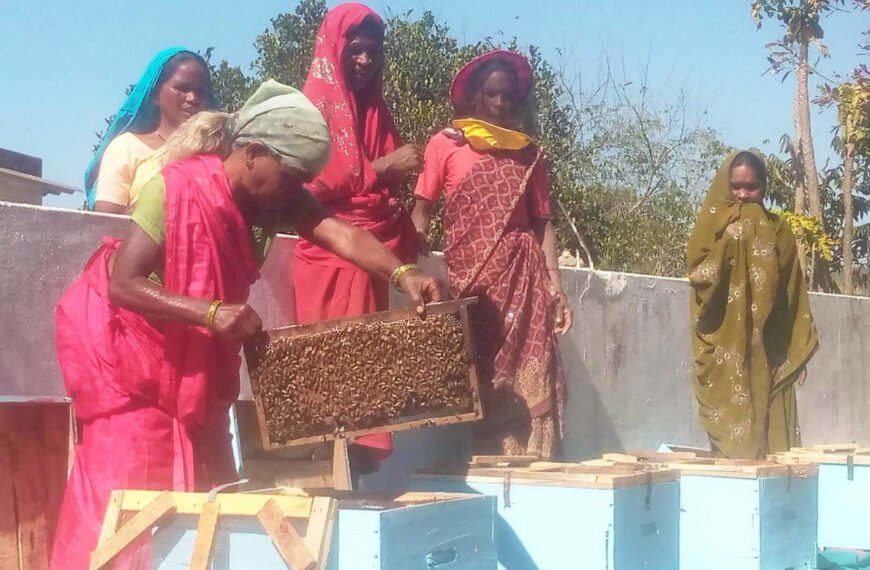 मधुमक्खी पालन से स्व-सहायता समूह की आय में वृद्धि