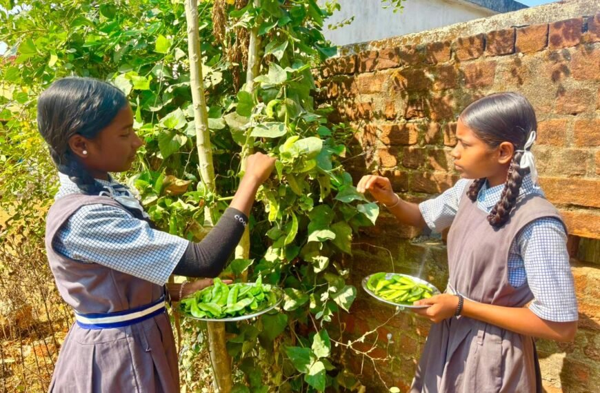 बच्चों को मिल रहा पौष्टिक आहार विद्यालय की बगिया से