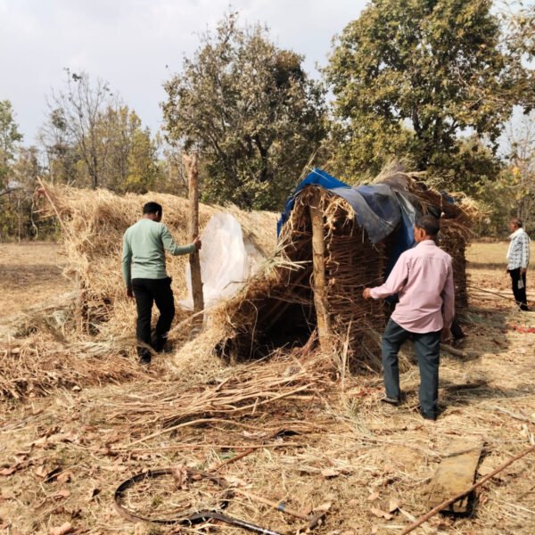वन विकास निगम ने हटाया अवैध अतिक्रमण : ग्रामीणों का मिला सहयोग