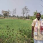 उन्नत तकनीकी विधि से गेहूं उत्पादन में वृद्धि