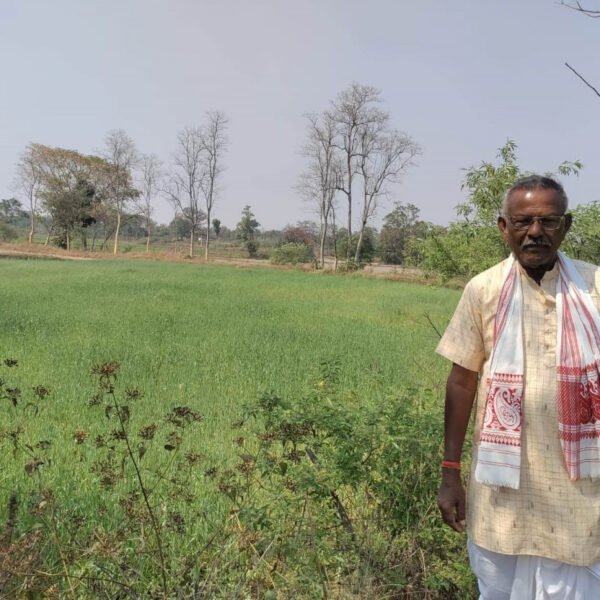 उन्नत तकनीकी विधि से गेहूं उत्पादन में वृद्धि