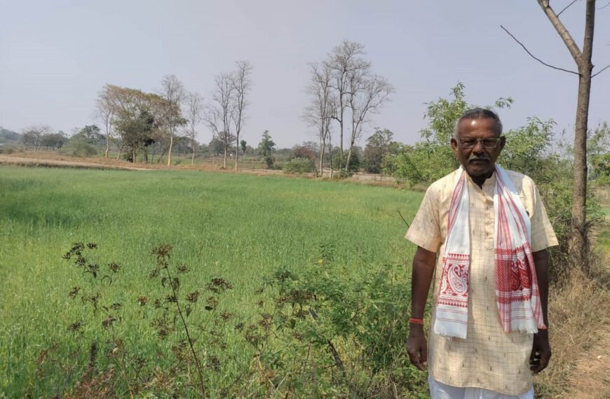 उन्नत तकनीकी विधि से गेहूं उत्पादन में वृद्धि