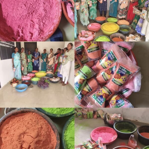 राष्ट्रीय ग्रामीण आजीविका मिशन से महिलाओं को मिली नई पहचान