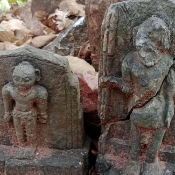 नवागढ़ की प्राचीन धरोहरों के संरक्षण के लिए राज्य सरकार सजग