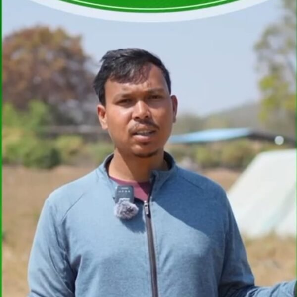 आधुनिक तकनीक से खेती को बनाया नया मॉडल किसान मुकेश ने