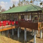 प्रकृति की गोद में रोमांच- मोहरेंगा नेचर सफारी