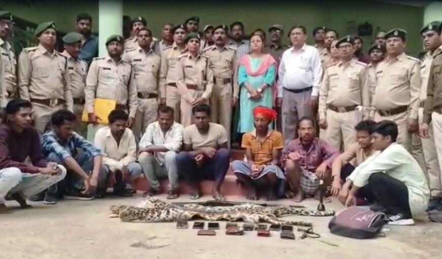 तेंदुए की खाल की तस्करी पर वन विभाग की बड़ी कार्रवाई, 9 आरोपी गिरफ्तार