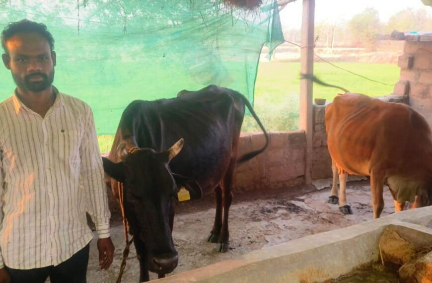 डेयरी योजना बदल रही है धनमती की तकदीर