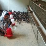 ​सफलता की नई उड़ान : पारंपरिक मजबूरी से ‘लखपति दीदी’ बनने तक का सफर