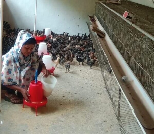 ​सफलता की नई उड़ान : पारंपरिक मजबूरी से ‘लखपति दीदी’ बनने तक का सफर