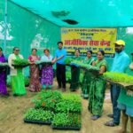 आईएफसी नर्सरी बनी किसानों की उम्मीद, गुणवत्तापूर्ण पौधों से बढ़ रही आय और आत्मनिर्भरता बिहान की आईएफसी नर्सरी से सशक्त हो रहे किसान और महिला समूह