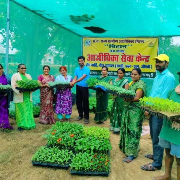 आईएफसी नर्सरी बनी किसानों की उम्मीद, गुणवत्तापूर्ण पौधों से बढ़ रही आय और आत्मनिर्भरता बिहान की आईएफसी नर्सरी से सशक्त हो रहे किसान और महिला समूह
