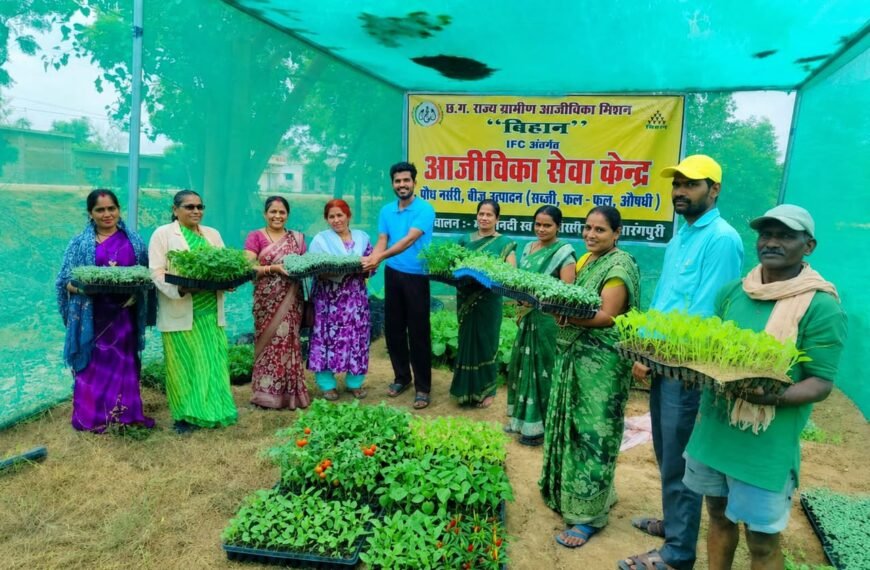 आईएफसी नर्सरी बनी किसानों की उम्मीद, गुणवत्तापूर्ण पौधों से बढ़ रही आय और आत्मनिर्भरता बिहान की आईएफसी नर्सरी से सशक्त हो रहे किसान और महिला समूह