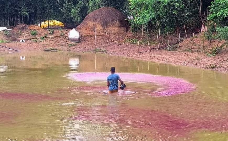 मत्स्य पालकों एवं किसानों को मछलीपालन हेतु 07 करोड़ 25 लाख से अधिक मत्स्य बीज उपलब्ध