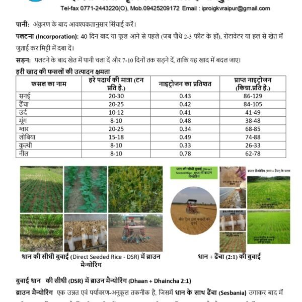अधिक वर्षा की स्थिति में किसान लेही पद्दति से धान की करें बुआई